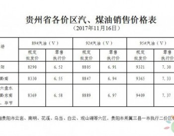 贵州省89#汽油（国Ⅴ）和0#柴油最高零售价格每吨分别提高265元和250元