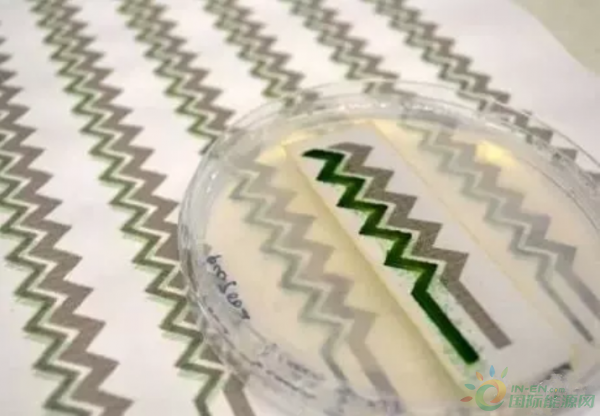 QQ截图20171204144848