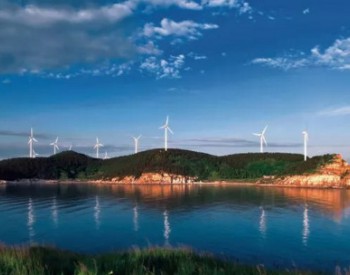 独家 | 核准4.06GW，开工3.98GW，广东省最多…2017海上风电项目大盘点！