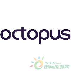 Octopus-Group