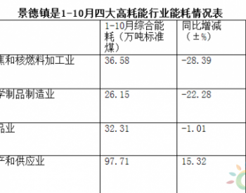 2017年1-10月江西景德镇市规模以上<em>工业能源消费</em>简析