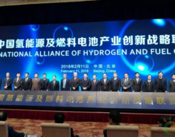 万钢、苗圩、肖亚庆、努尔·白克力关心的交集——中国氢能源及燃料电池产业迎良机