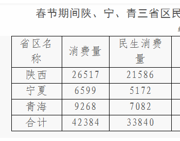 陕西、宁夏、青海三省区春节期间 民生用气平稳正常
