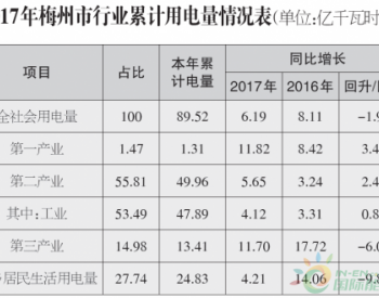 2017年广东梅州市<em>全社会用电量</em>同比增长6.19%