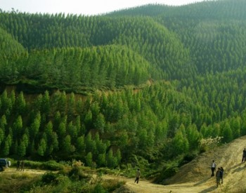 2017年全国共完成<em>造林</em>736.2万公顷 国土绿化事业稳步推进