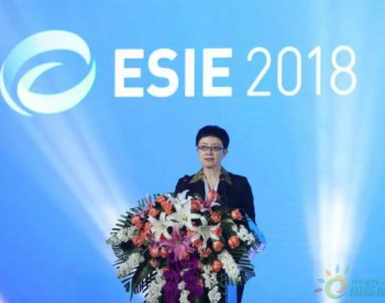 国家能源局科技装备司副司长刘亚芳出席<em>储能国际峰会暨展览会2018</em>并致辞