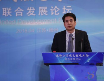 中国经济信息社副总裁李健：以市场化助力<em>天然气产业</em>发展