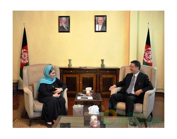 驻阿富汗大使刘劲松会见阿富汗矿业石油部代理部长