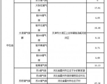國家嚴格儲氣目標 國內儲氣行業發展“揚帆”