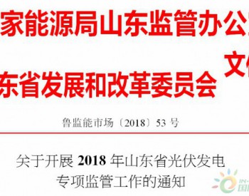 2018 年山东省光伏发电<em>专项监管</em>重点