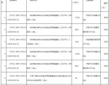 国电投领跑者项目启动组件招标 853.48MW全为单晶组件