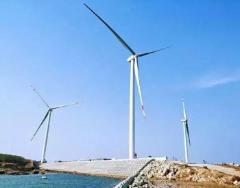 中国核电首个分散式<em>风电项目并网</em>发电