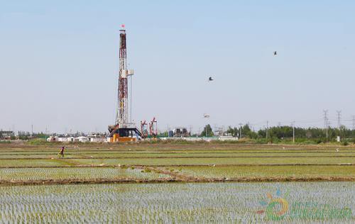 96225_400610 (1)