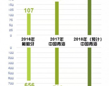 国家电网让青海全省连续 9日 只用水、风、光供电