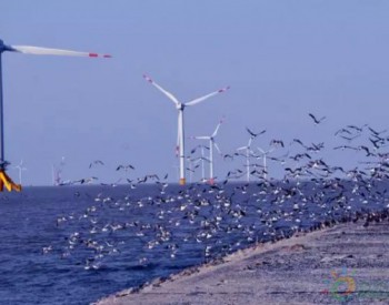 總投資180億元！國內首個百萬千瓦級海上風電場落戶漳浦六鰲