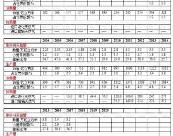 全记录：<em>1993</em>～2017年中国天然气进程