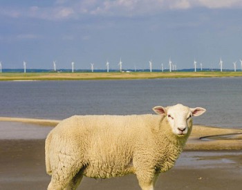 2017年我國海上風電不同功率機組累計裝機容量（圖）