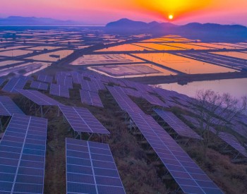 <em>531</em>之后，這些光伏企業都在忙什么？