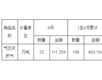 2018年6月中国气态<em>天然气出口量统计表</em>