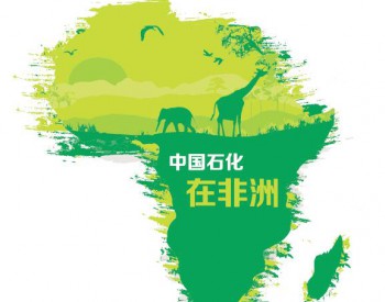 中石化与26个非洲国家合作 累计<em>捐资</em>超过6000万