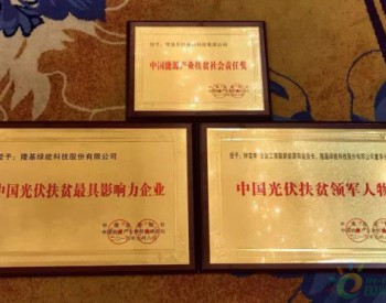 高标准保障高质量，<em>隆基乐</em>叶被授予“中国能源产业扶贫社会责任奖”