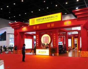 中国电力企业借中国—<em>东盟博览会</em>开拓东盟市场
