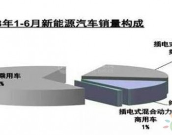 <em>低速电动汽车</em>成黑马！不忘初心 继续前行