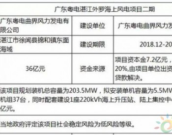 廣東徐聞外羅不止有海鮮！海上風電項目獲核準，總投資36億元！