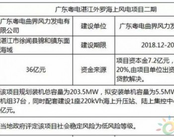 广东<em>徐闻</em>外罗不止有海鲜！海上风电项目获核准，总投资36亿元！