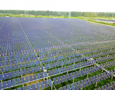 中信博安徽寿县项目