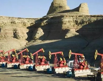 中国石化首次在新疆发布社会<em>责任报告</em>