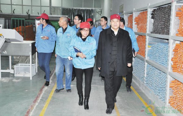 536ea343-049a-45c3-884b-d42e3b54794d