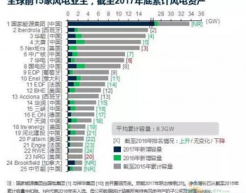<em>MAKE</em>：11家中国风电业主稳居国际市场前25排名