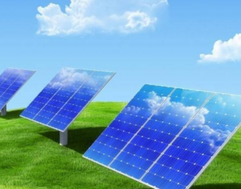 <em>梁志鹏</em>：调整政策支持可再生能源的发展