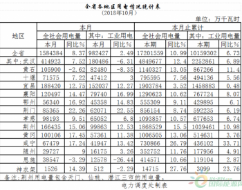 2018年1-10月湖北省<em>全社会用电量</em>同比增长10.99%