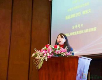 謝宏文：2030年前后海上風電近海規模化、遠海示范化