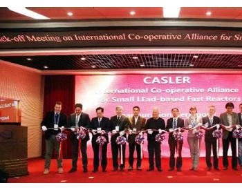 国际小型<em>铅基堆</em>联盟成立大会暨第一届理事会在中国合肥召开