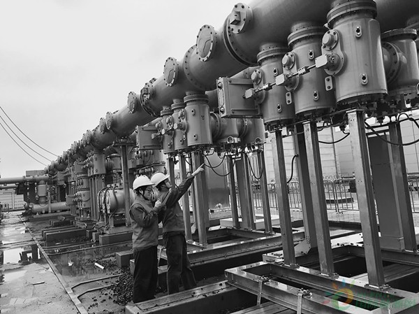 1123769892_15432246301631n