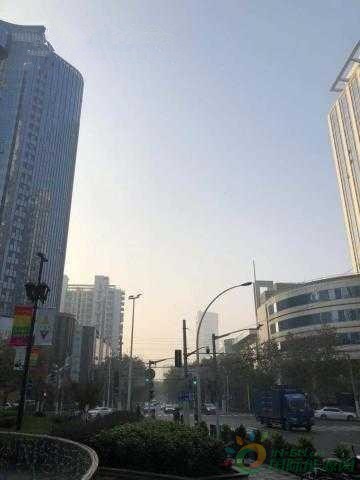 u=4101207144,2222210576&fm=173&app=49&f=JPEG