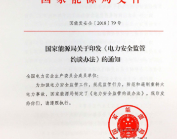 十种行为将被约谈！国家能源局出台新文件治理电力<em>系统安全</em>