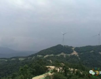华美生态赴河南某大型风电场考察生态植被修复工程项目