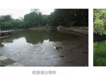 广州市晓港湖：重构水体生态，打造<em>水下森林</em>
