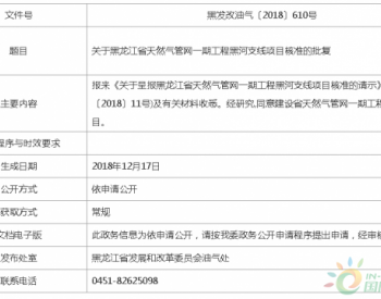 关于黑龙江省天然气管网一期工程<em>黑河支线项目核准</em>的批复