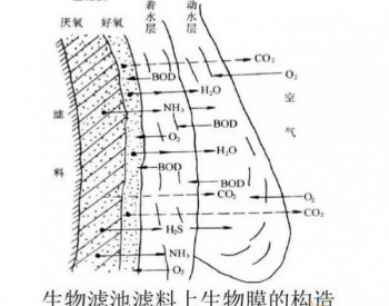 最全的<em>生物膜法</em>概述 带你看懂生物膜！