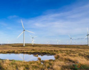 供应330万户 苏格兰风力发电量再创新高