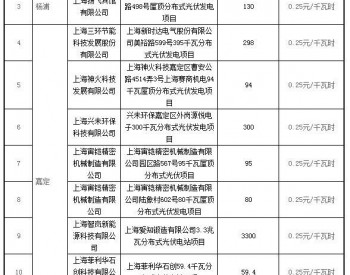 上海公布2018年第二批可再生能源和新能源发展专项资<em>金奖</em>励目录