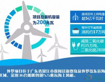 重磅视频 | 广东省首个海上<em>大兆瓦风电</em>项目首台机组吊装（附现场吊装图集）