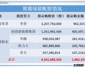 <em>熊猫绿能</em>（0686.HK）配股引资近20亿港元 债务结构优化