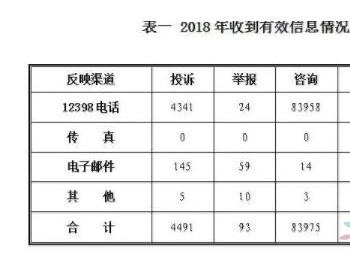 光伏补贴不<em>及时</em>，监管不力，国家能源局公布2018年能源监管处理情况