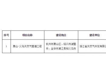 关于受理浙江省天然气开发有限公司<em>萧山</em>-义乌天然气管道工程环评文件的公告